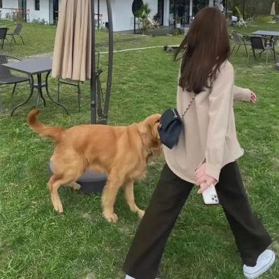 恶党：犯罪者追踪调查